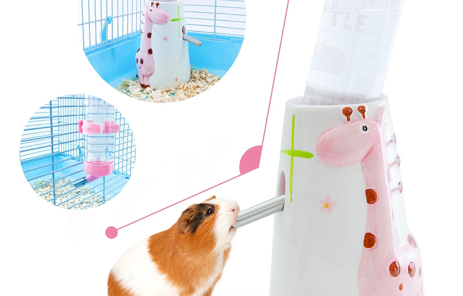 How to Clean Guinea Pig Water Bottle?