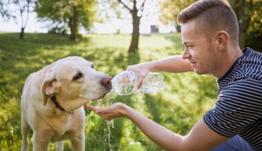 Why do Dogs like Water Bottles?