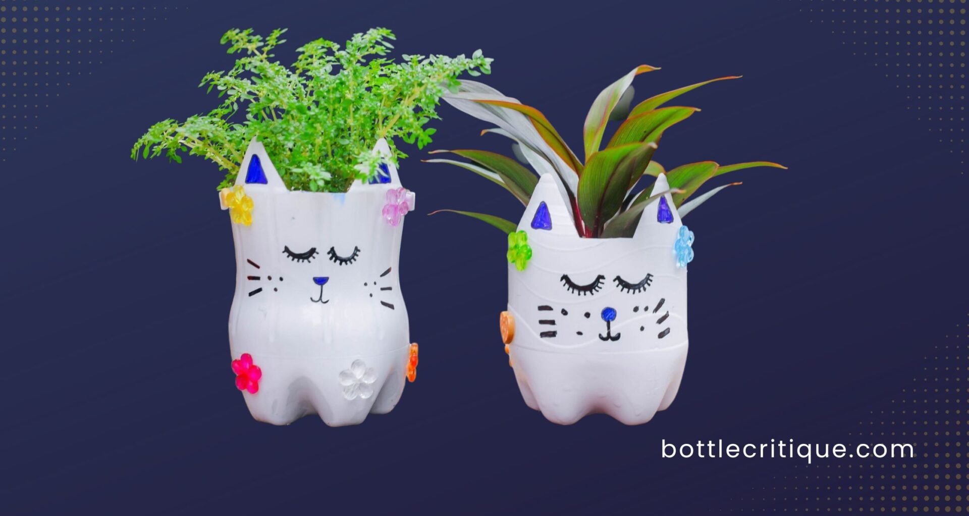 Water Bottle Planter Ideas - Check Out Here!